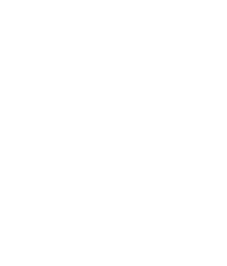 Zenlit